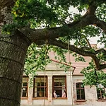 Folwark Wielka Wies - Palac Pod Debem Bed & Breakfast