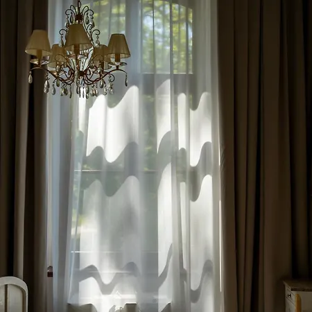 Folwark Wielka Wies - Palac Pod Debem Bed & Breakfast 3*