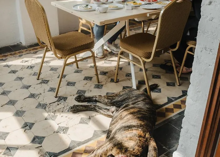 Nocleg ze śniadaniem Pałac Wielka Wieś - Pałac Pod Dębem