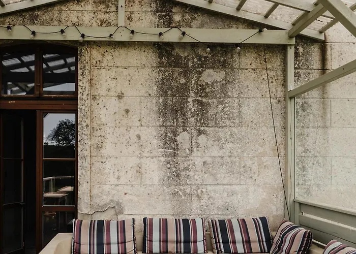 Folwark Wielka Wies - Palac Pod Debem