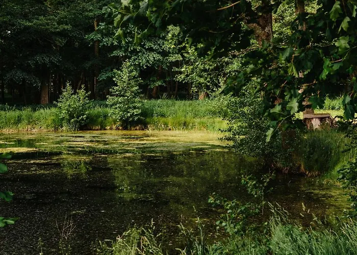 Pałac Wielka Wieś - Pałac Pod Dębem Nocleg ze śniadaniem 4*
